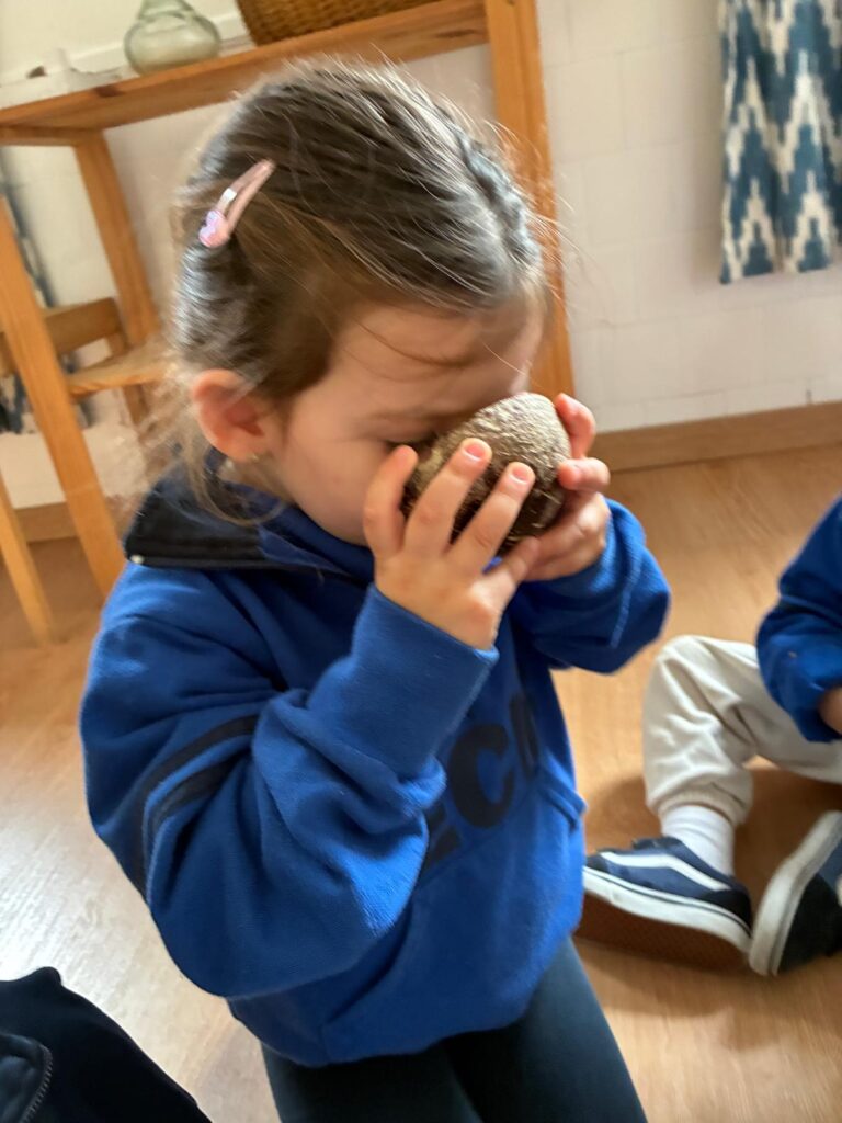 20251114_135419000_iOS