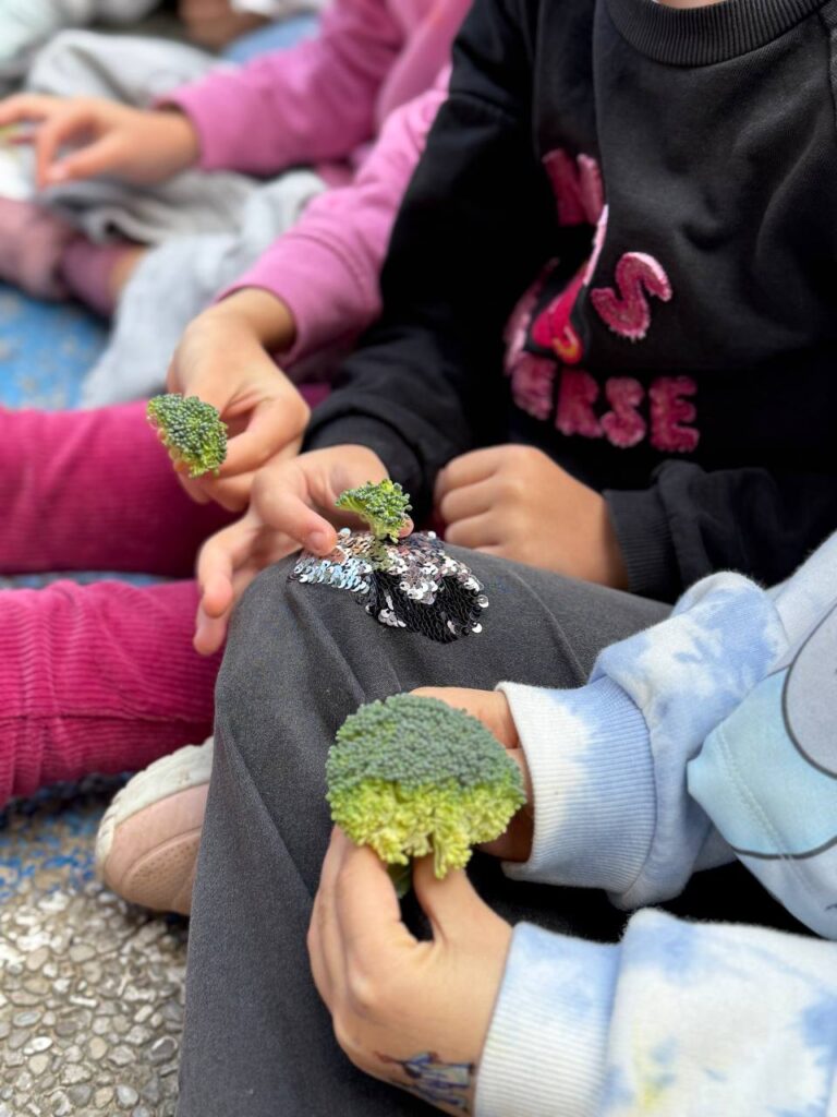 20251128_181550366_iOS