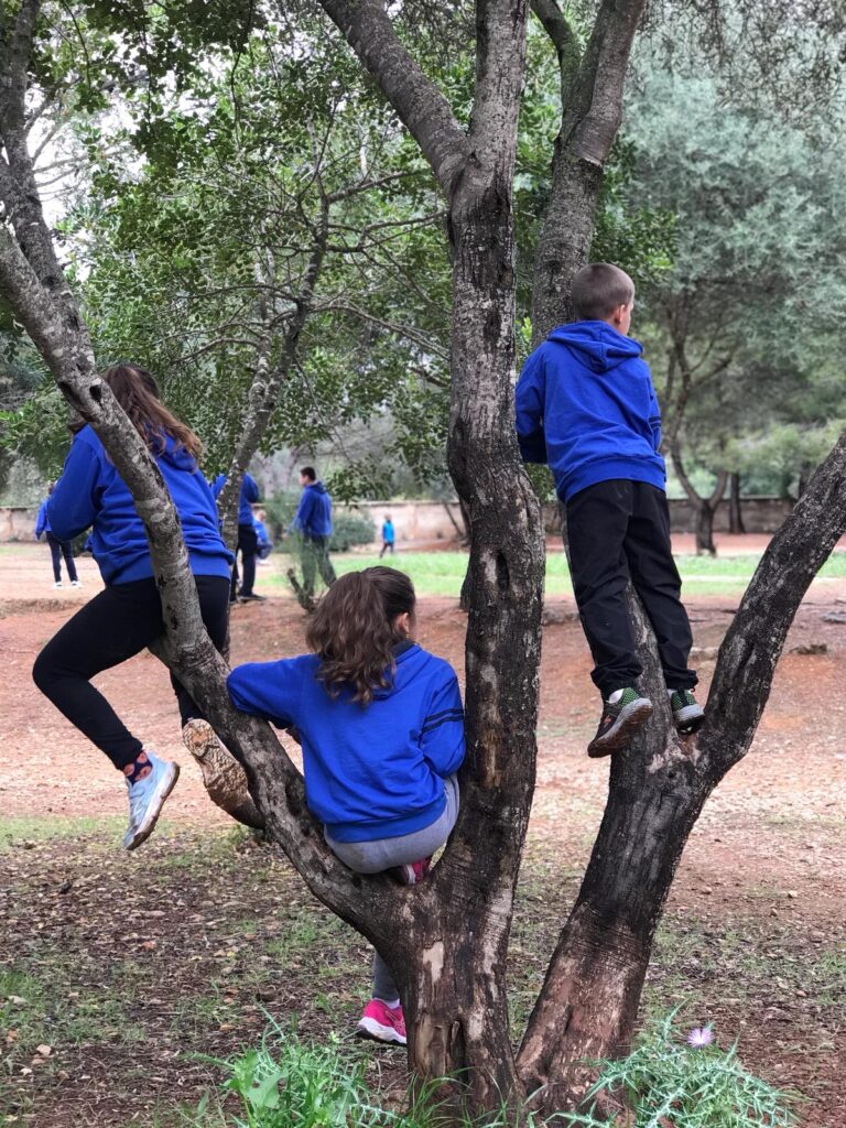 4b25b877-f941-429e-9457-1722a77ca723